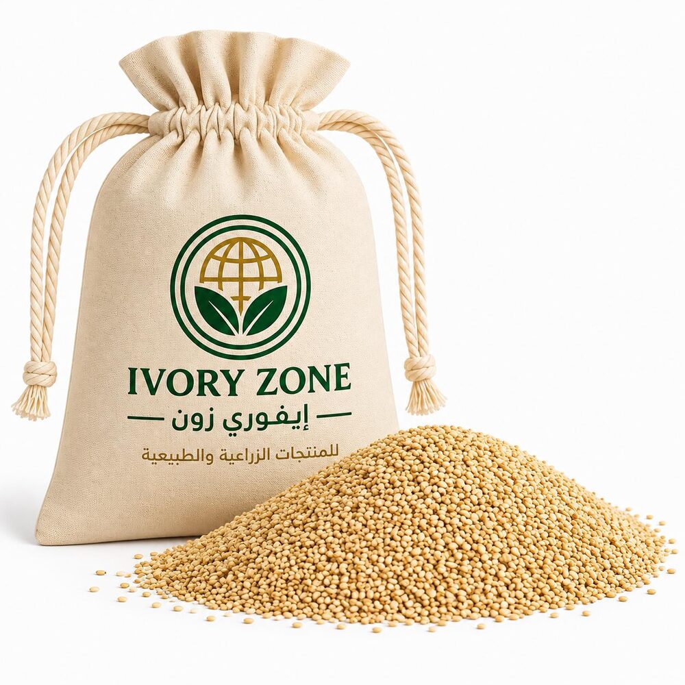 Sesame Seeds — premium Sudanese export