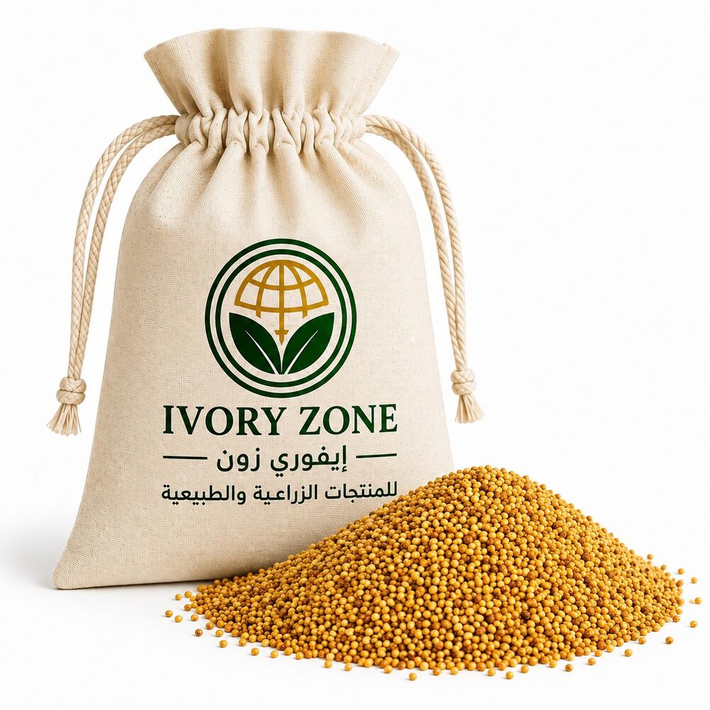 Millet Grains — premium Sudanese export