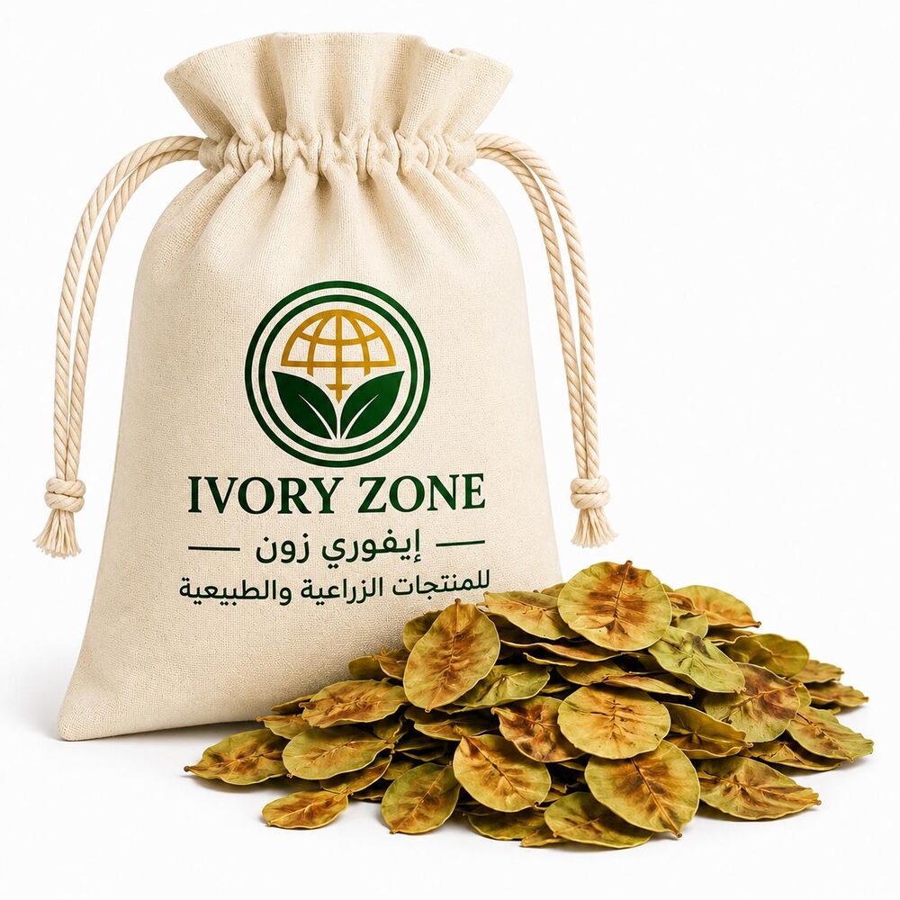 Senna Pods — premium Sudanese export