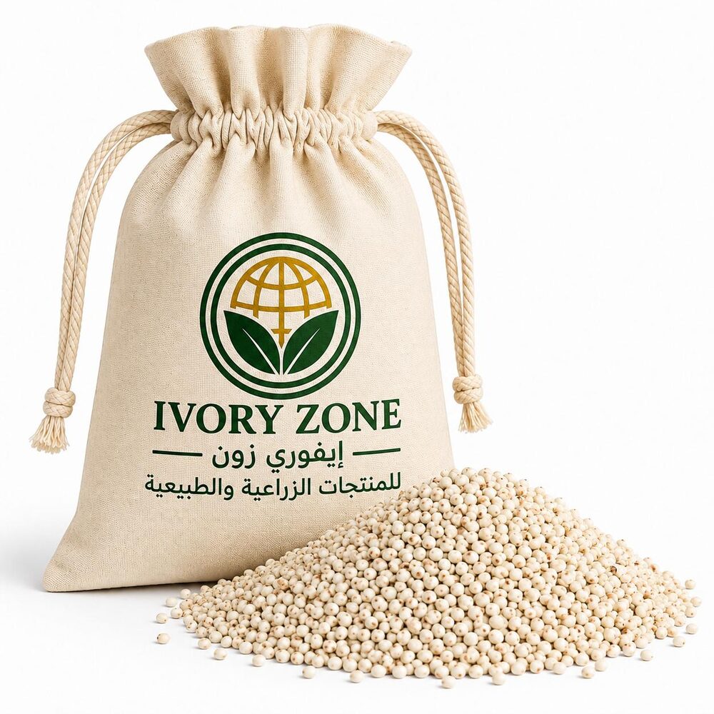 Sorghum — premium Sudanese export